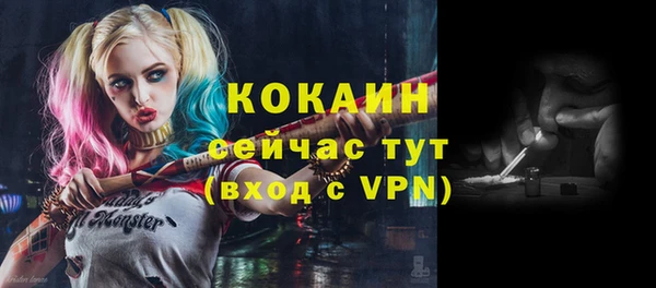винт Армянск