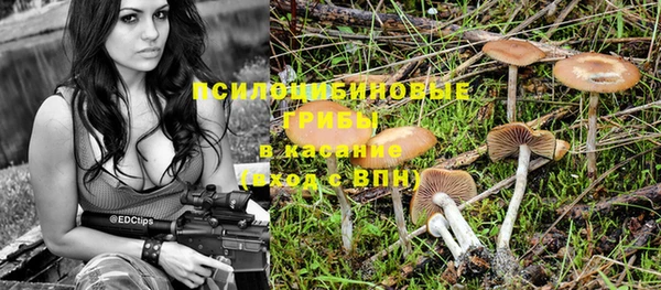круглые Аркадак