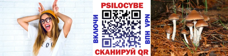 закладка  Сортавала  Галлюциногенные грибы GOLDEN TEACHER 